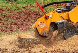 Best Lawn Disease Treatment  in Hodgkins, IL