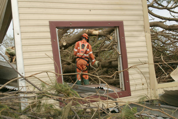 Best Lot and Land Clearing  in Hodgkins, IL